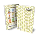 RainbowRoughBook3.webp