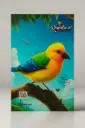 Rainbow Real Long Notebook